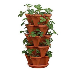 Vertical & Wall Planters