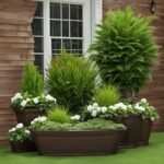 best plants for planters outside